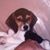 Lindy Bruno's profile image
