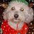 Karen T. Goss's profile image