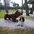 Carol Boyer Stiebel's profile image