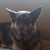 Randy Puthoff's profile image