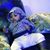 Prisca Lokolanza's profile image