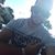 Tony Vieira's profile image