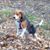 Connie Pinkston's profile image