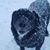 Kevin Buttram's profile image