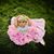 Selene Mendoza Rolon's profile image