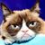 Loretta Martin's profile image