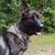Kerry Boyer's profile image