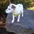 Bryan Srock's profile image