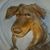 Terri Jennings's profile image