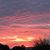 Stephanie Lynn Mueller Morris's profile image