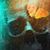 Desire'e Reed's profile image