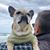 Patti White's profile image