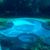 Nelberto Perez Garcia's profile image