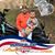 Ricky Pangallo's profile image