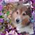 Jessica Olson's profile image