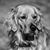 Kristin K Johnson's profile image