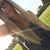 Kayla Endecott's profile image