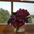 Tracy Lau's profile image
