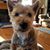 Colleen Voigt Hicks's profile image