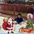 Susan Akerson's profile image