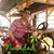 Edwin Antonio Bayon's profile image