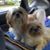 Barbara Ataman's profile image