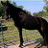 Buffalo Moon Expedition's profile image