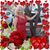 Angela Camarillo's profile image