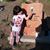 Liz Ann Whitworth's profile image
