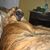 Nicte' Torres's profile image