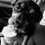Shelby Gallardo's profile image