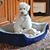 Lyn Howe's profile image