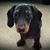 Ginny Barham Paul's profile image