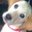Marcy Stiebs's profile image
