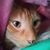 Colleen Morris's profile image