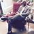 Randall Bourne's profile image