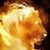 Deborah Thieme's profile image