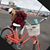 Nicole Logsdon Edwards's profile image