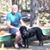 Alan Honey's profile image