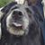 Derek Cusworth's profile image