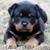 Juan-o Alfonso's profile image