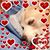 Beth Stuchlik-Black's profile image
