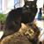 Pamela Staub's profile image
