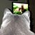 Donna Beaudoin's profile image