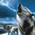 Glenn Rose's profile image