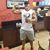 Tyler Steven Pitann's profile image