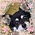 Connie Dendy's profile image