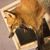 Curt Vanderbur's profile image
