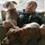Lorin Greene's profile image