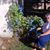 Jennifer Hollier's profile image